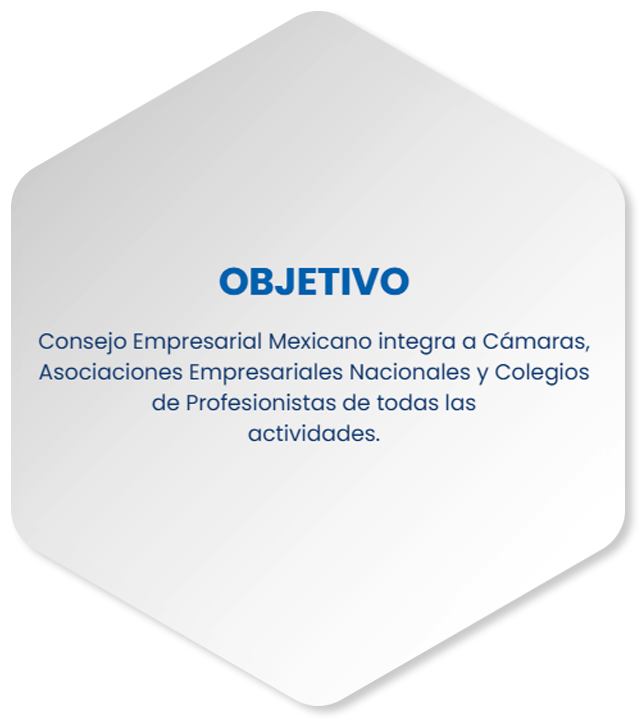 OBJETIVOS-PU